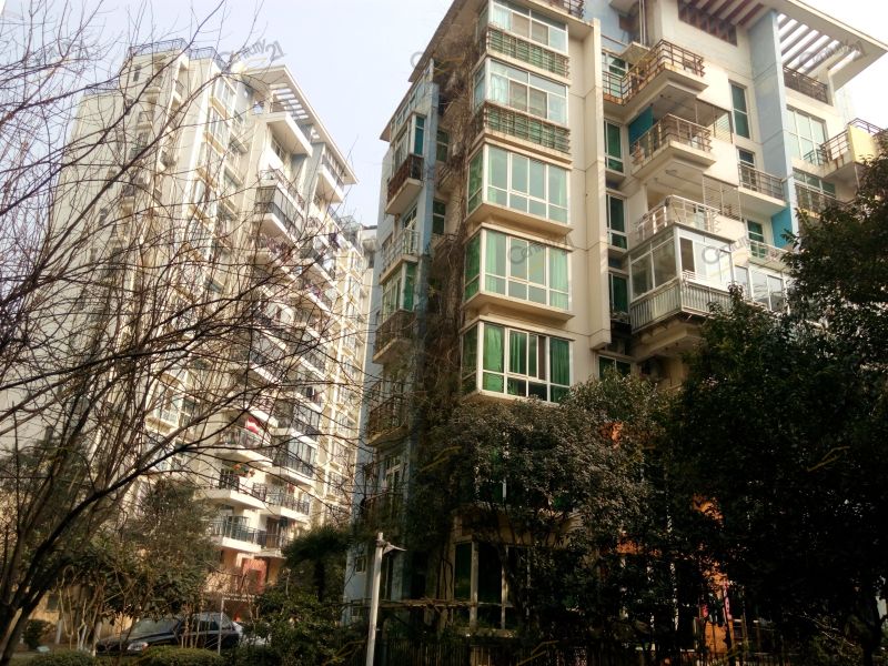 新地东方花都a区
