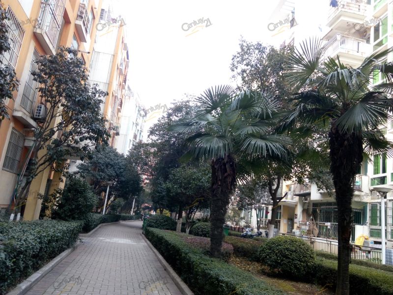 新地东方花都a区