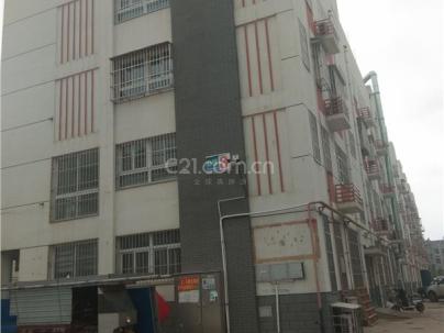 刘庄社区(新盖楼盘) 3室 2厅 90平米