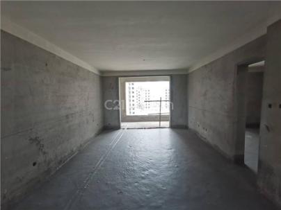 广安佳苑东区（楼花） 3室 2厅 143.5平米