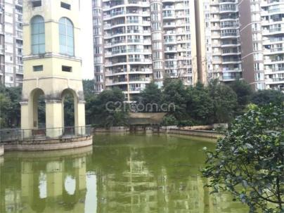 龙城国际