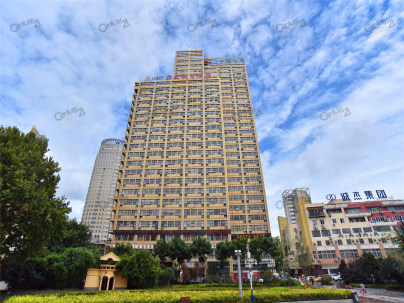 力天大厦 1室 1厅 45.91平米