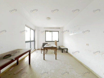 龙湾国际公寓 3室 2厅 76.61平米