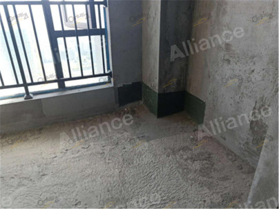 碧桂园泰富城 1室 1厅 29平米