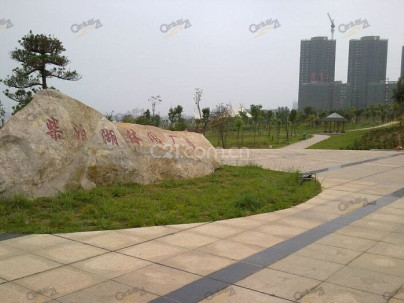 兴宸深港国际 2室 2厅 81.06平米