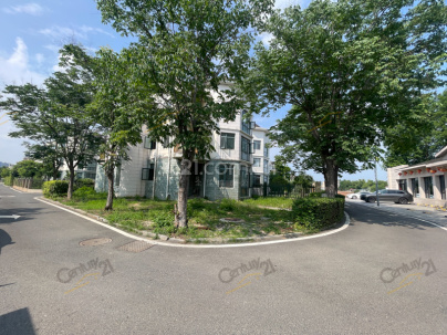 清风别墅 1室 1厅 41.45平米