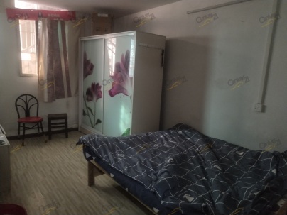 青龙巷 1室 1厅 40平米