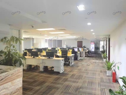 光谷国际广场 6室 2厅 1558.96平米