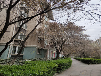 长庆未央湖花园 3室 1厅 117.5平米