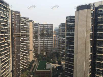 仁和春天国际花园 4室 1厅 178.42平米