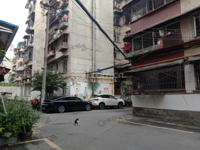 育苗路14号 2室 1厅 60平米