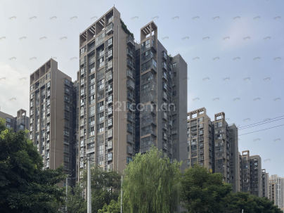 南湖春天 2室 2厅 70.3平米