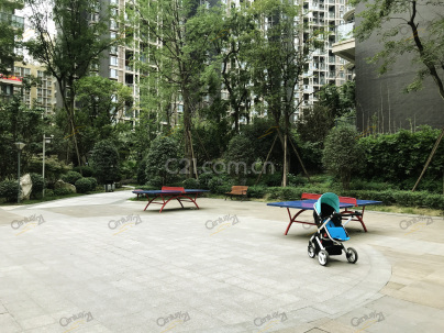 红树湾 3室 2厅 131.29平米