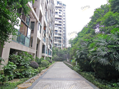 优客联邦二期 2室 1厅 78.25平米