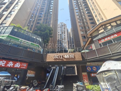 滨江栖棠 3室 2厅 94.61平米