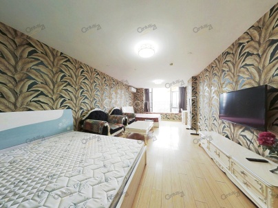 富力史丹尼国际公寓 1室 54.55平米