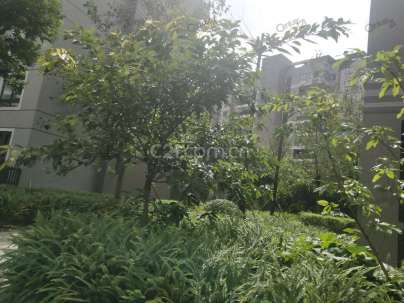 西财学府尚郡 4室 2厅 139.44平米