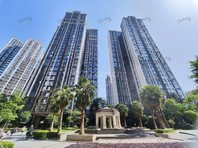 戛纳湾金棕榈 3室 2厅 104.97平米