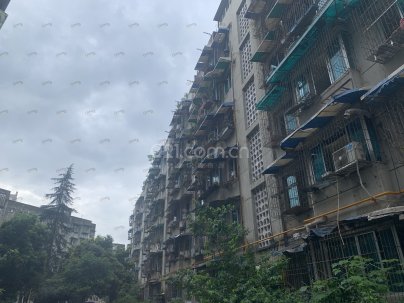 西海北街154号 3室 2厅 113.48平米