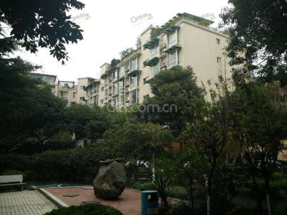 千和银杏花苑 3室 1厅 113.38平米