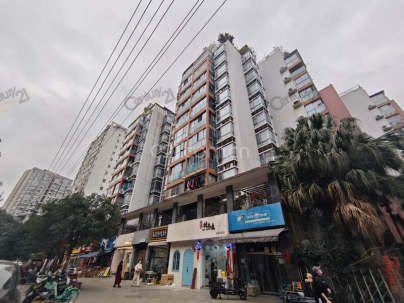 枫景雅居 3室 2厅 119平米