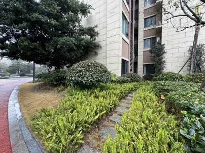 润扬19 3室 1厅 86.85平米