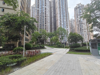 滨江领樾 4室 2厅 127.53平米