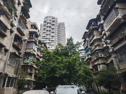 长天路3号 3室 1厅 81.75平米