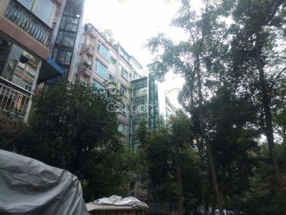 丽景湾 2室 1厅 109.01平米