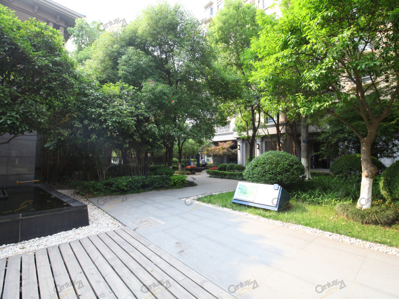 金鼎湾国际