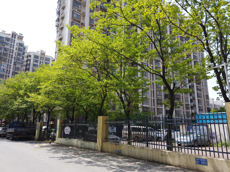 春江新城天隆坊
