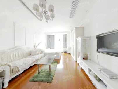 紫鑫国际公寓 1室 1厅 51.65平米