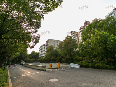 52平米越城区-袍江-国际华城国际