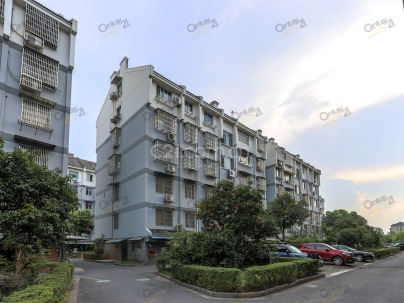 塘南湾溇公寓 3室 1厅 181.78平米