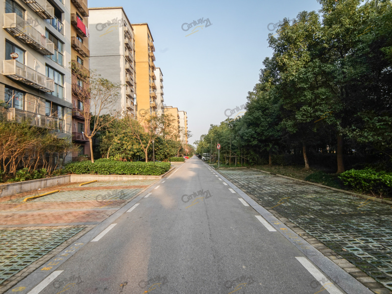 置地青湖语城小区租售_置地青湖语城小区买卖|出租-c21在线