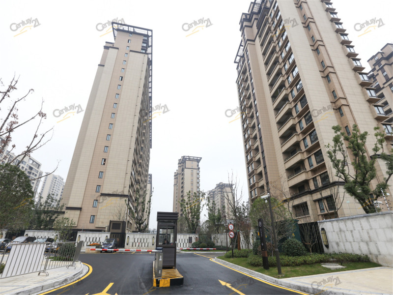 江南境秀小区租售_江南境秀小区买卖|出租-c21在线