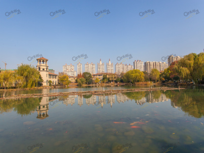 新湖明珠城商业