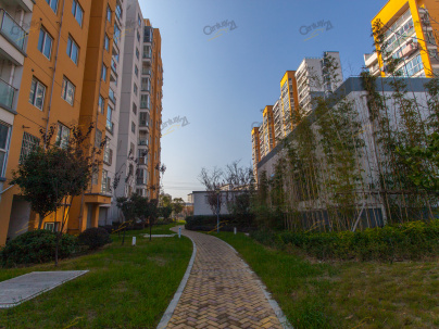 龙祥花园 2室 2厅 85平米