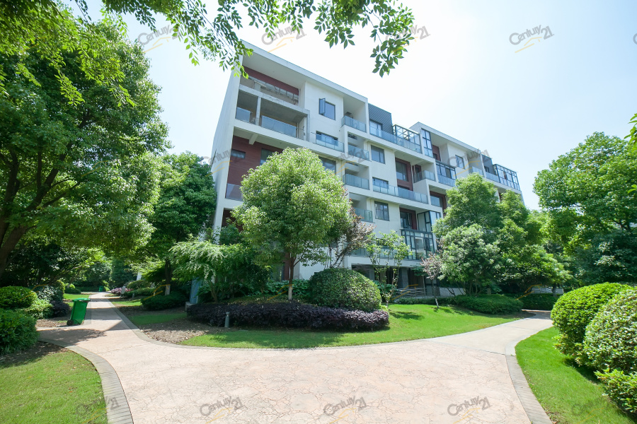 万科中粮逸庭 4室 3厅 250平米