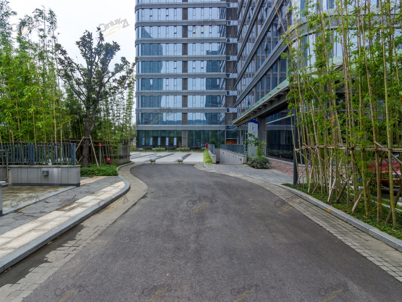 中新星湖公馆