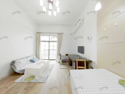宝龙国际公寓 1室 1厅 39平米