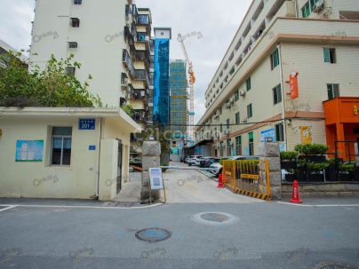 中山医院宿舍楼 3室 2厅 92.31平米