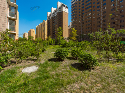 金桥嘉苑 1室 1厅 61.82平米