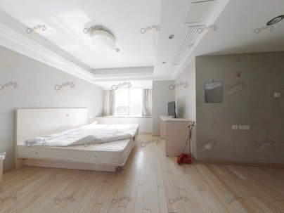 红街天城公寓 1室 1厅 49.89平米