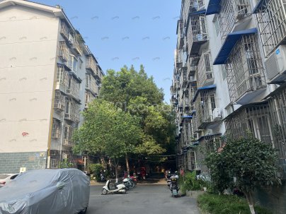 绵阳市丝厂小区 2室 2厅 72平米