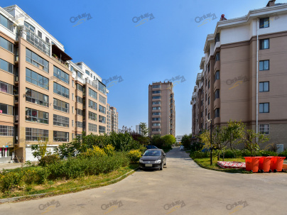 绿扬·河景东城