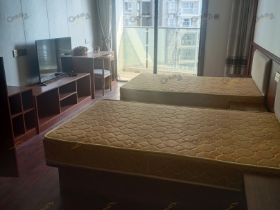 澜庭海景酒店公寓 1室 1厅 58平米