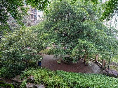 丽景花园(九龙坡) 1室 1厅 48.93平米