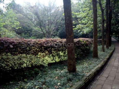 新东福花园