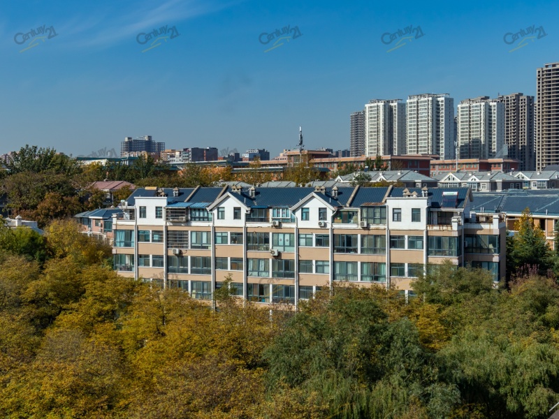 龙泊圣地